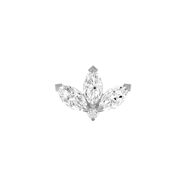 Leaf  Piercing